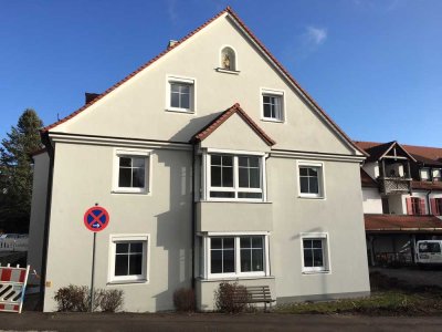 Helle 1-Zimmer Wohnung zentral in Aystetten