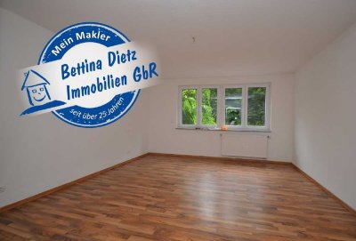 DIETZ: Helle 2-Zimmer-Wohnung mit neuer Einbauküche!