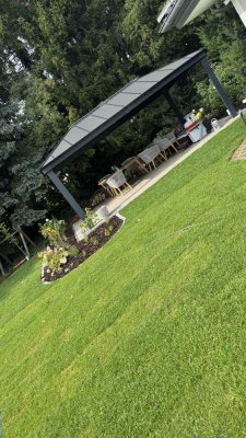 Mitbewohnerin mit Herz für Hunde gesucht (25–35 Jahre)