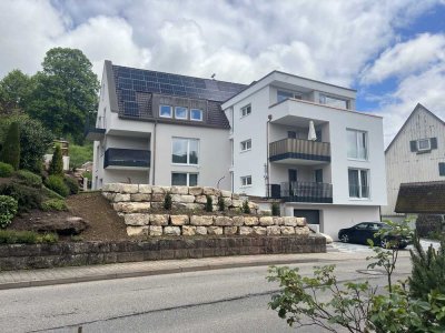 Exklusive EG-Neubauwohnung mit Terrasse und EBK in Grüntal