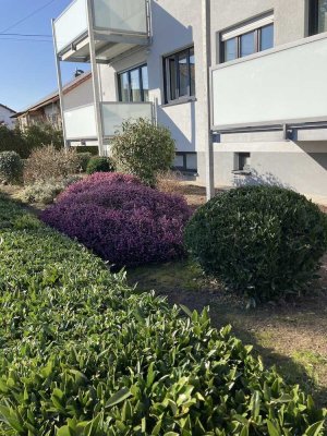 Helle, neu sanierte 3-Zimmer Wohnung (75m²) im EG in Herxheim