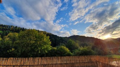 Glücklich im Grünen