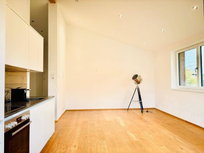 Zentrale sonnige Terrassen Wohnung