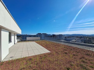 WEINZIERL XIII B - 80