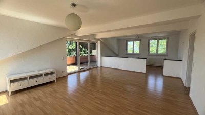 Blick über die Dächer von Schliengen, 3 Zimmer-DG-Wohnung