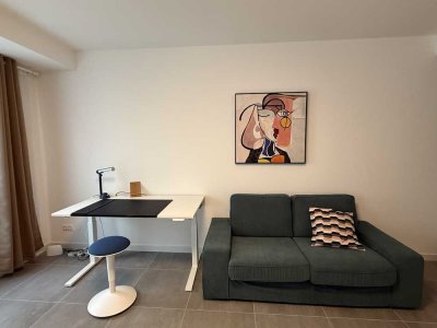 Geschmackvolle Studio Wohnung in Frankfurt am Main