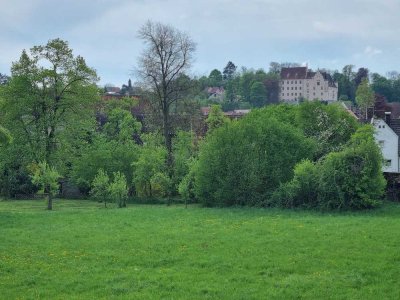 Lichtdurchflutetes EFH mit ELW, Doppelgarage, unterkellert