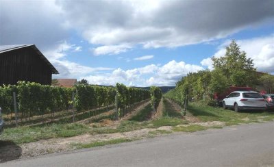 Wohnen an den Weinbergen - Zwei Häuser ein Preis