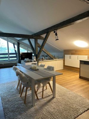 Wunderschönes Loft bei Passau/Innstadt für Single/Pärchen ab  1. Juni