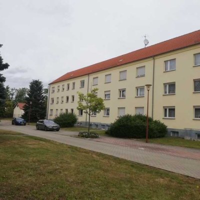 Ansprechende und modernisierte 4-Zimmer-Wohnung in Sedlitz zwischen den Seen