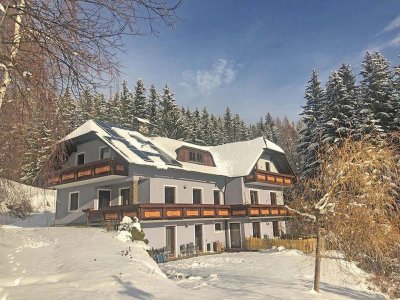 Steirische Alpen mit Südlage: Wohnhaus mit Tourismus-Option im Ski- und Wandergebiet