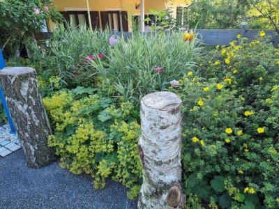 Wochenend- oder Ganzjahresdomizil oder diskretes Rückzugsdomizil