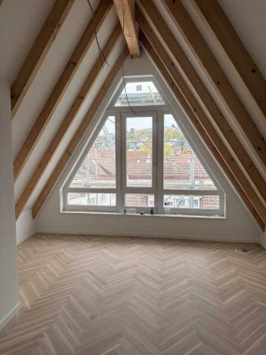 Moderner fertig gestellter NEUBAU, 3-Zi-Wohnung mit Einbauküche, Erstbezug, Maisonette