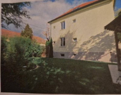 Preiswertes und großes 7-Zimmer-Zweifamilienhaus mit EBK in Baden