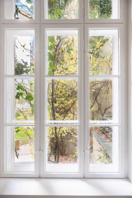 Altbauperle mit Terrasse in der Kollwitzstraße