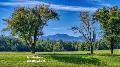 TRAUMHAFTE WOHNLAGE ! Ihr sonnenverwöhntes Domizil im Chiemgau, mit wunderschönem Alpen-Panorama