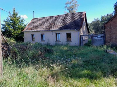 Forsthaus (quasi) Alleinlage, Nebengebäude, Tierhalter- freundliches Grundstück, nahe Berlin