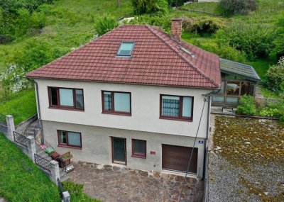 Einfamilienhaus mit Südhang Garten