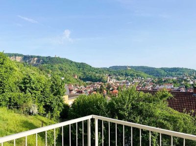 Sonnennest 5-Zimmer Penthouse Terrasse Garten Weinheim Weinberg