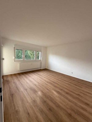 Helle, sanierte Souterrain-Wohnung, 3 Zimmer, Einbauküche