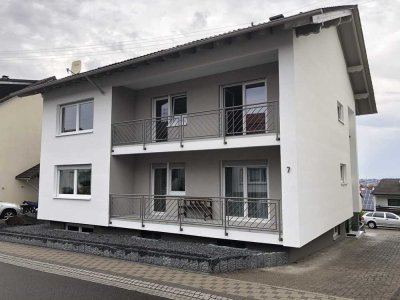 Exklusive 3-Zimmer-Wohnung  in Erlenbrunn mit beeindruckender Aussicht