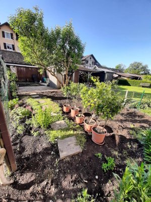 Provisionsfrei Gemütliche 4-Zimmer-Dachgeschosswohnung mit Garten