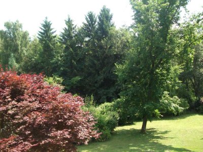 3 Zi Whg. Massgrund von Privat