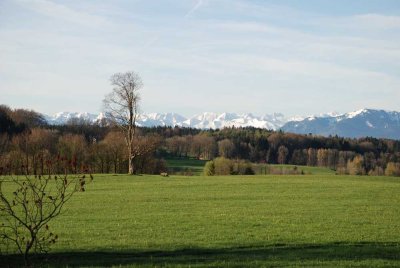 Panorama Bergblick:  hochwertiges saniertes freistehendes EFH mit schönem Garten