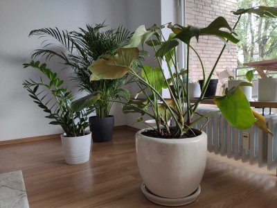 Alt-Erkrath: gepflegte 2-Zi-Wohnung mit Balkon