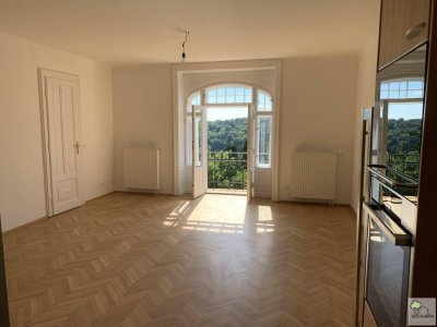 TRAUMLAGE - Rarität - Altbauwohnung mit Stil und Charakter - Großer Garten/Weingartenblick