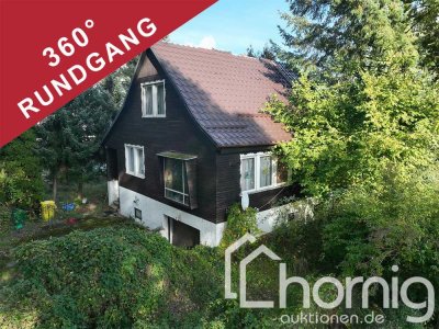 Schnäppchenhaus im Seenland - EFH in Burghammer