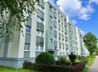 3-Zimmer Wohnung in Dresden Leubnitz-Neuostra