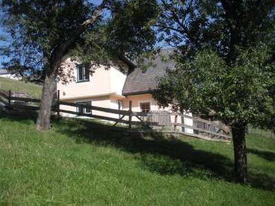 Charmantes 4-Zimmer Bauernhaus mit Garten und Terrasse