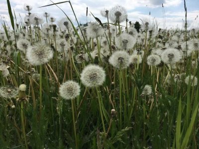Ihr maßgeschneidertes Traumhaus mit Bien-Zenker: Wo Wünsche wahr werden