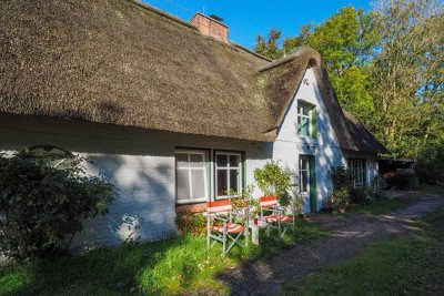 Idyllisches Landleben zwischen Vollerwiek und St.Peter-Ording