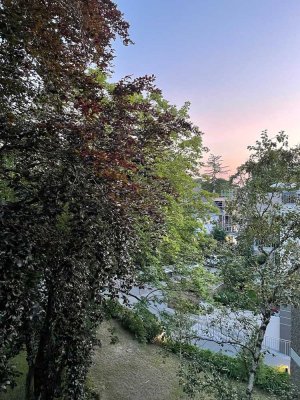 geräumiges 1-Zimmer-Appartment mit Balkon, EBK, Keller, Stellpl., in Mainz-Gonsenheim