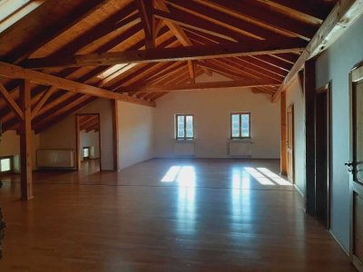 Wohnen und Arbeiten im Einödhof -Studio auf 250qm