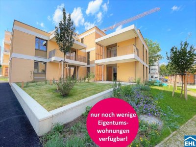 Herzlich willkommen zum Projekt WILDGARTEN