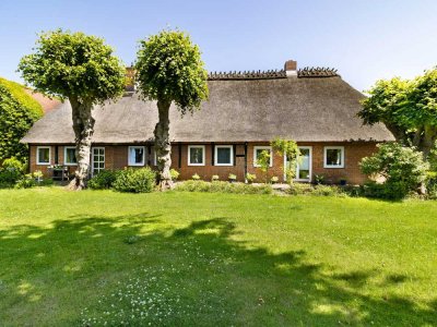Schleinähe: Gepflegtes Reetdachhaus | Garten | Pavillon | Terrassen | Obstgarten | Nebengebäude