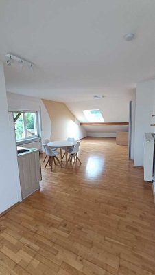 Helle Einzimmerwohnung für Pendler 420 € - 45 m² - 1.0 Zi.
