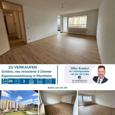 Schöne neu renovierte 3 Zimmer Eigentumswohnung