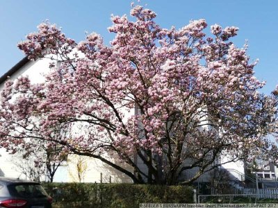 Ideales Haus für eine Familie in Feldrandlage!