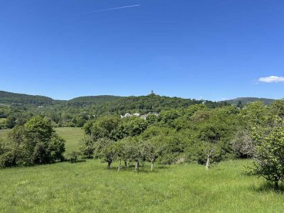 Stilvoll Wohnen mit Burgblick - Stadthaus auf 4 Ebenen in Königstein