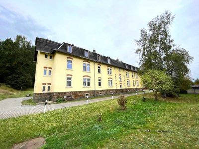 Frisch renovierte kleine 1,5 Raumwohnung* Wohnen und sparen!