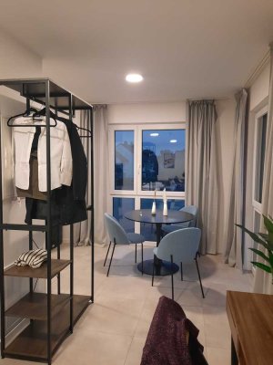 Modernes, möbliertes 1-Zimmer-Apartment mit Einbauküche in neuem Gebäude – Eching bei München
