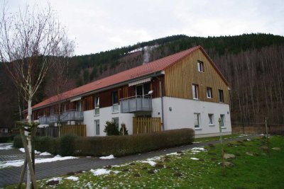 Gepflegte 2-Raum-Wohnung mit Terrasse in Goslar