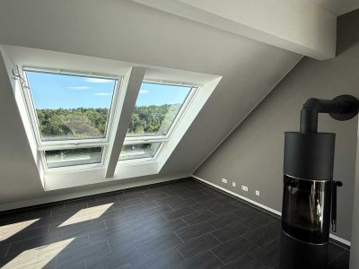 Modernes Dachgeschoss mit privatem Aufzugszugang zu verkaufen