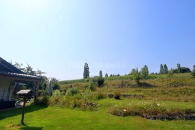 Traumhafter Ausblick! Einfamilienhaus in Top-Zustand und mit viel Flair in naturnaher Lage