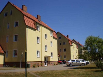 Drei-Raum-Wohnung im Altbau in Krauschwitz