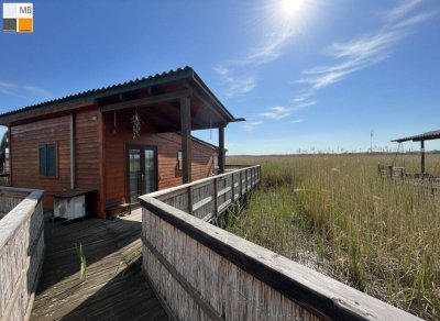 ++ Charmantes Seehaus in 1. Reihe in Weiden am See I MB IMMOBILIEN ++